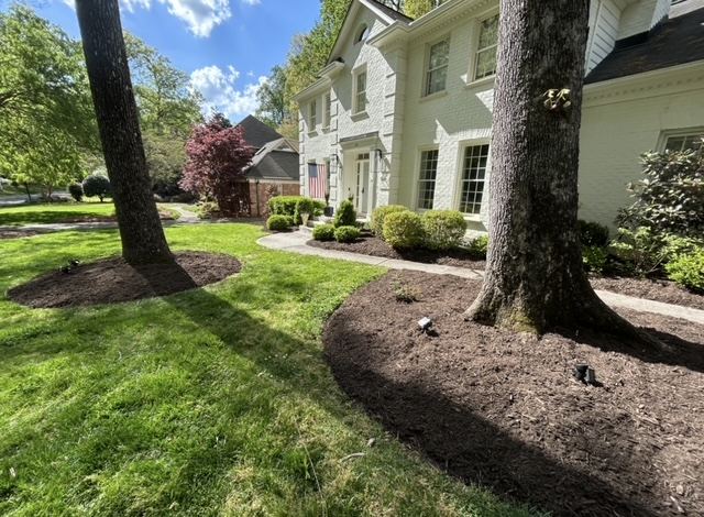 Mulch bed installation around mature oak trees on a landscaped front lawn in Wilmington, NC
